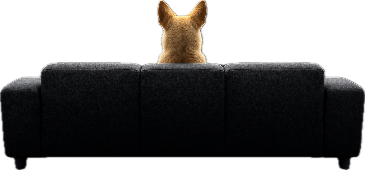 Home Theater Calibration